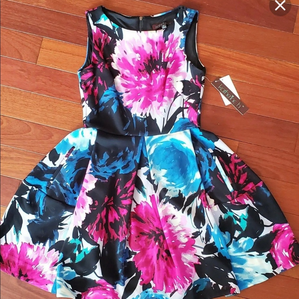 Katherine H Anthropologie Floral Skater Fit and Flare Dress 4P